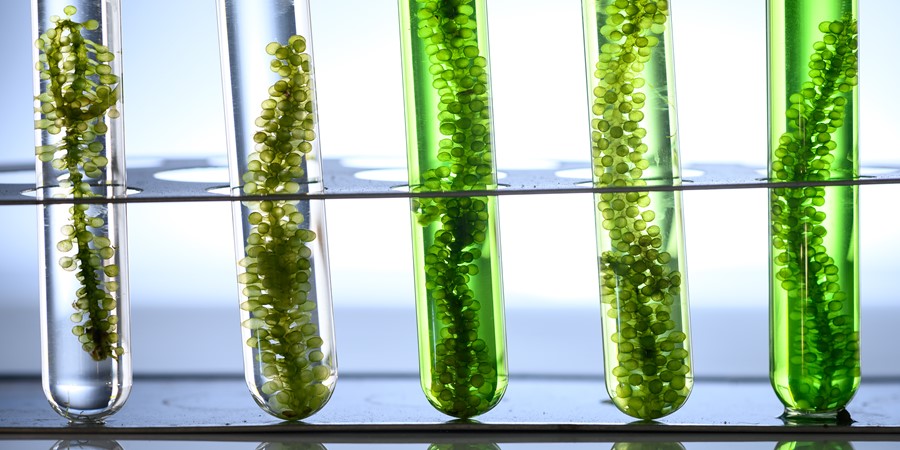 Education & Academia Image