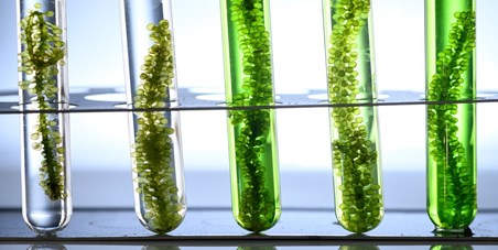 Education & Academia Image